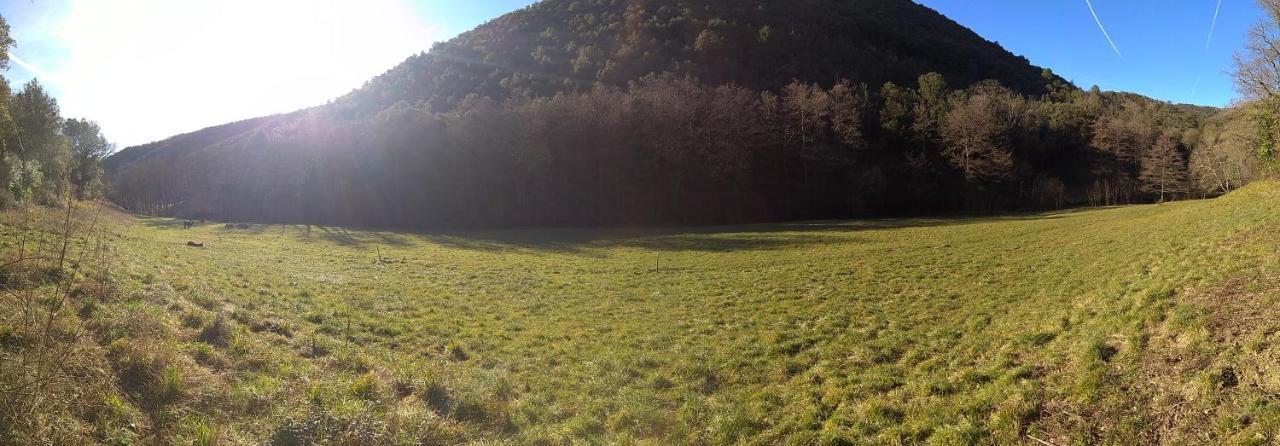 Chambre Cevennes: Piscine, Lamas, Riviere Cros  Kültér fotó