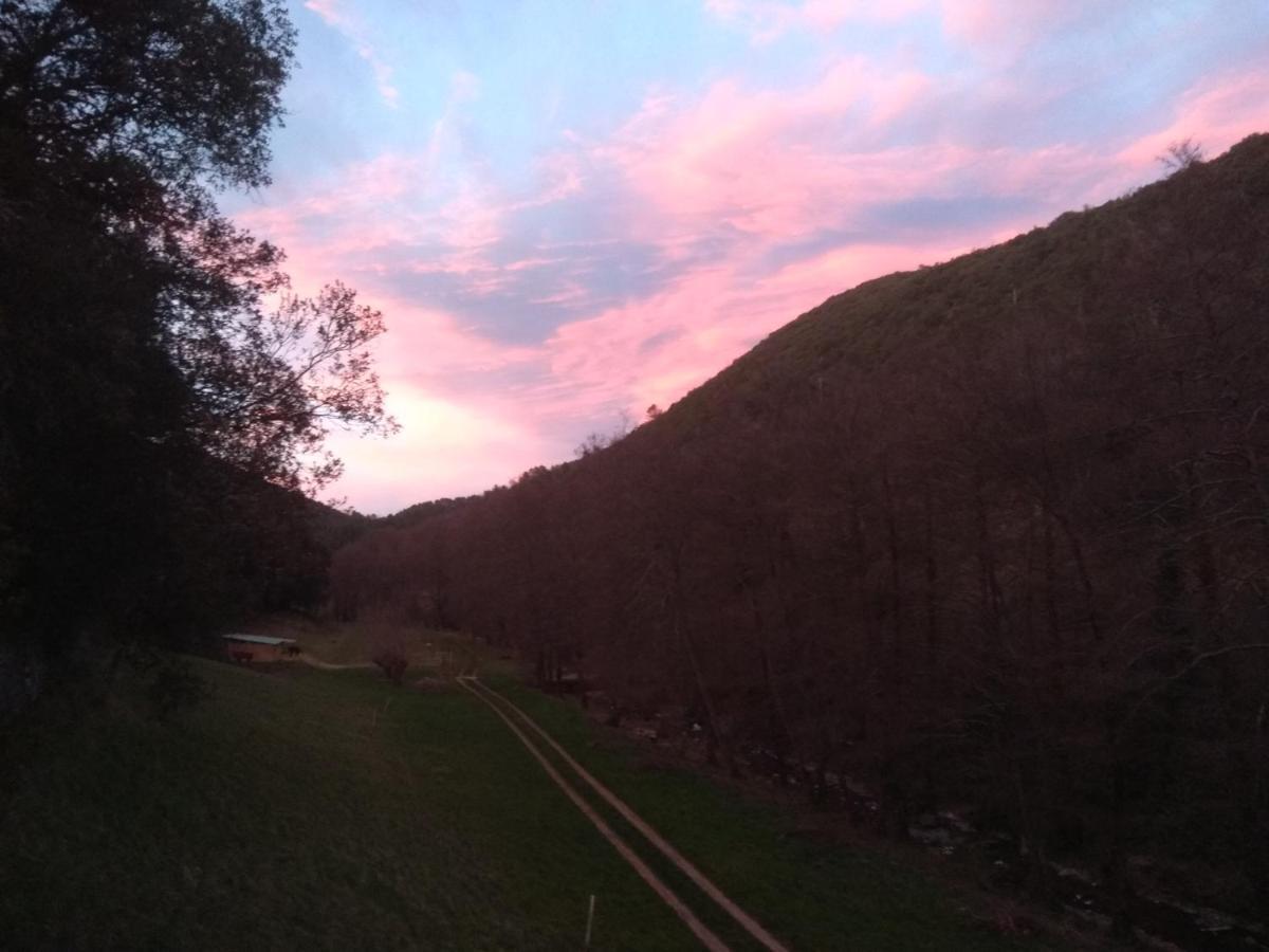 Chambre Cevennes: Piscine, Lamas, Riviere Cros  Kültér fotó