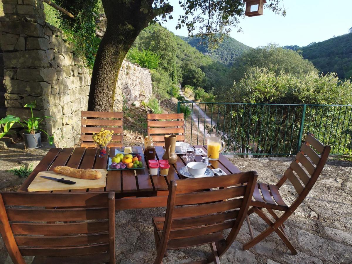 Chambre Cevennes: Piscine, Lamas, Riviere Cros  Kültér fotó