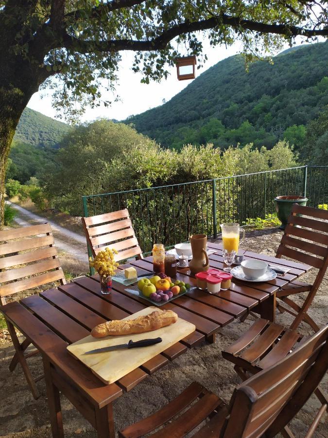Chambre Cevennes: Piscine, Lamas, Riviere Cros  Kültér fotó